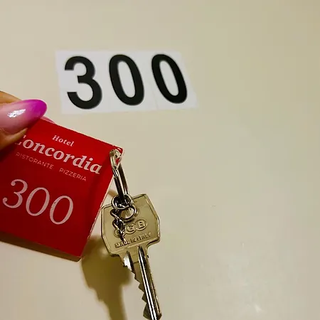 Hotel Concordia-3